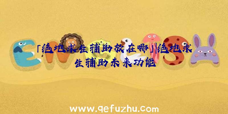 「绝地求生辅助放在哪」|绝地求生辅助未来功能